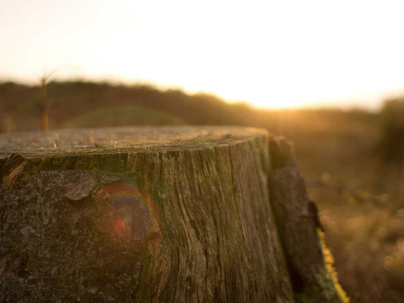 sudoku skill improvement screenshot 6